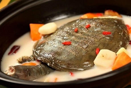 Đi Singapore thử món ăn dành cho người can đảm